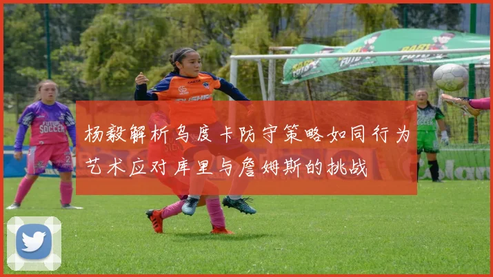 杨毅解析乌度卡防守策略如同行为艺术应对库里与詹姆斯的挑战